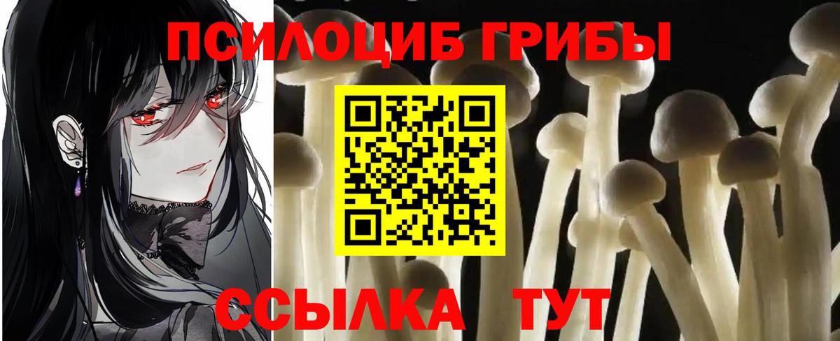 Славгород  Псилоцибиновые грибы Magic Shrooms  Вход с VPN 
